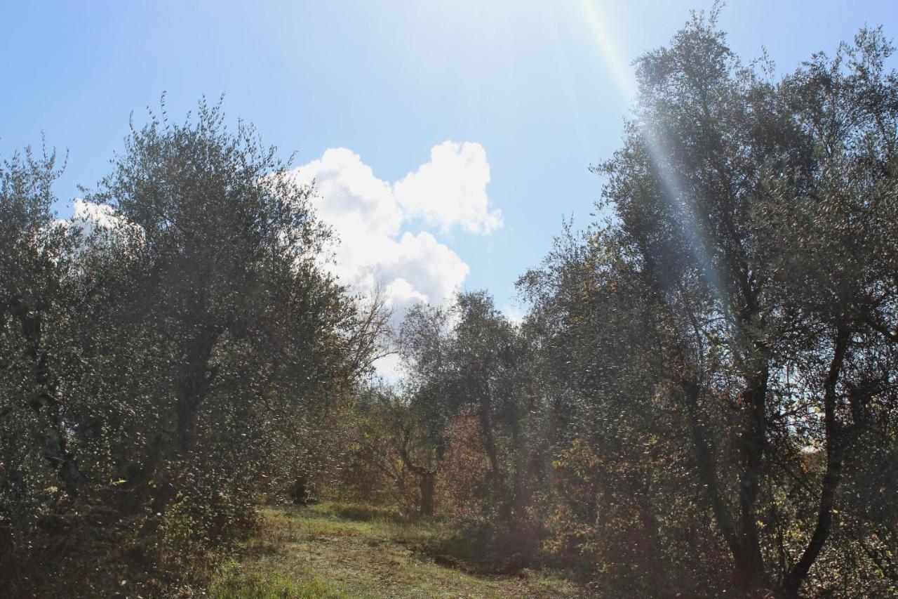 Agriturismo Due Comuni San Gervasio Extérieur photo